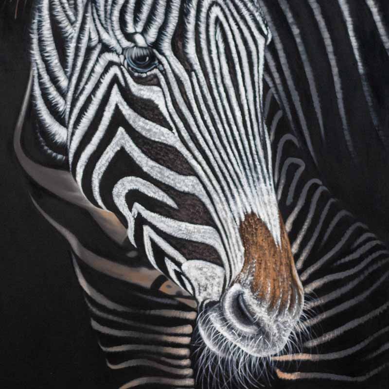 tela quadro pintura decoracao parede animal zebra preto branco design interiores detalhes realismo bali indonesia comprar loja artesintonia