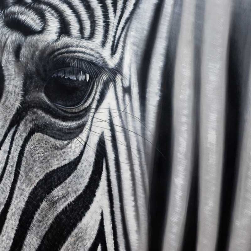 tela quadro pintura decoracao parede animal zebra preto branco design interiores detalhes realismo bali indonesia comprar loja artesintonia